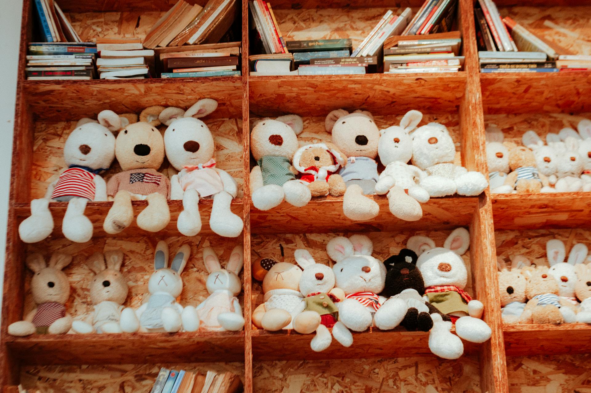 children’s book about missing toys